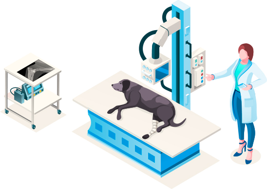 What We Do For The Vet Clinics We Partner With What We Do For The Vet Clinics We Partner With