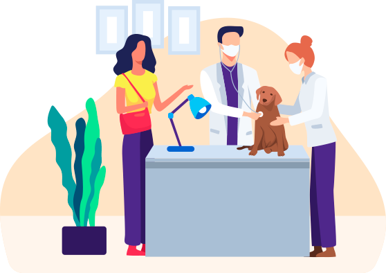Why Your Vet Clinic Needs The Best It Services