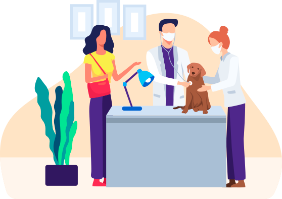 Why Your Vet Clinic Needs The Best It Services Why Your Vet Clinic Needs The Best It Services