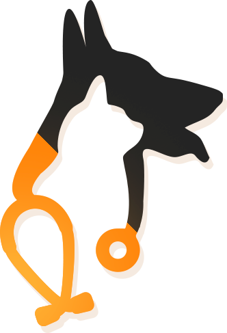 Hampton Roads It Services For Vet Clinics Hampton Roads It Services For Vet Clinics